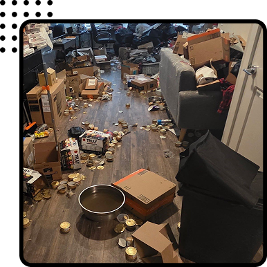 Biohazard Removal and Cleanup in Colorado Springs and Pueblo, CO
