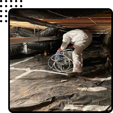 Mold Remediation in Colorado Springs and Pueblo, CO