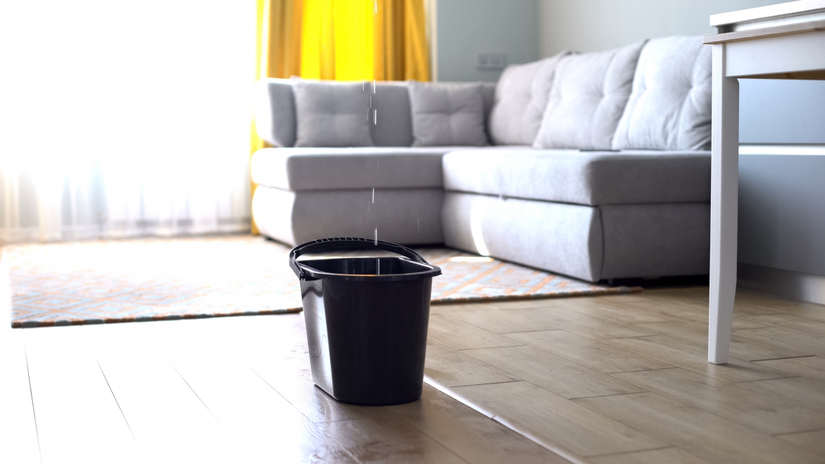 Water droplets leaking in bucket from ceiling, damaged roof, house renovation,