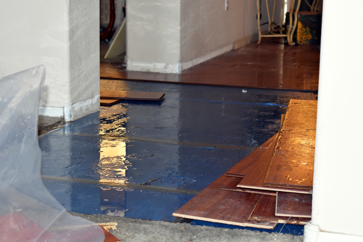 flooring has been removed to reveal extent of water damage