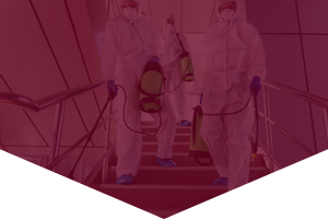 covid cleaning