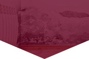 mold
