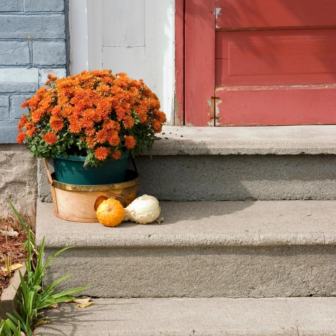 Flower pot on front porch of home