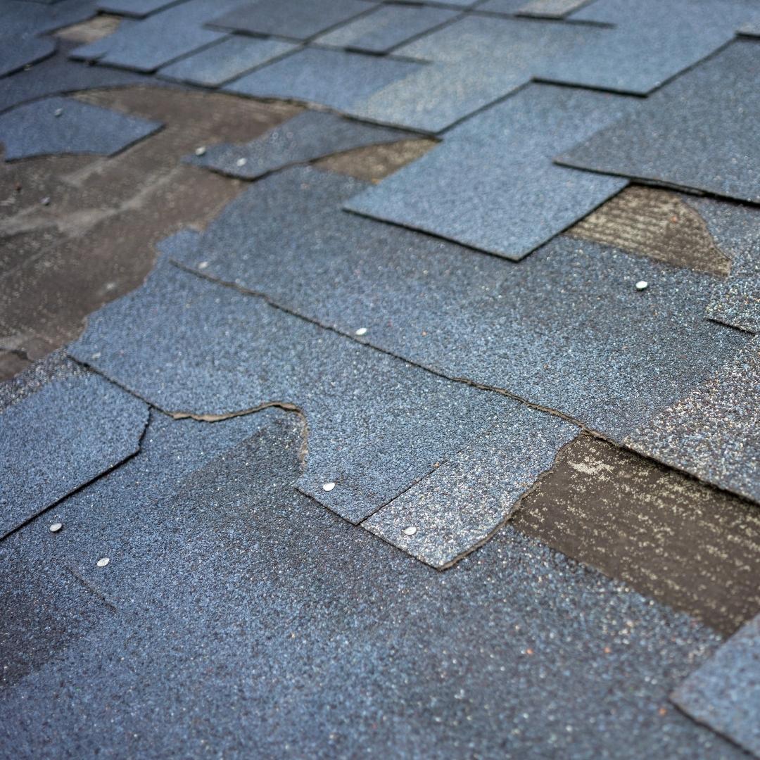 Missing and Damaged shingles