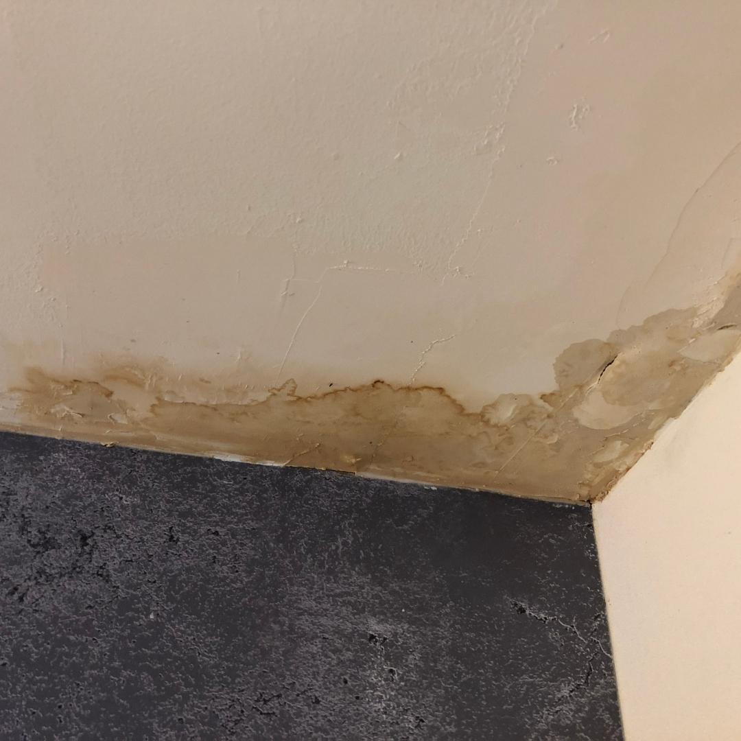 Stained ceiling from leaking roof